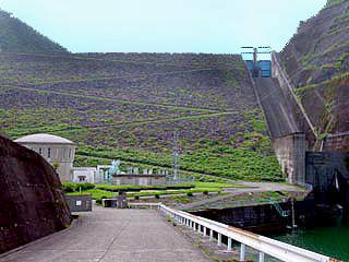 �_���̑S�i