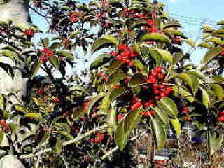 ���낪�˂���