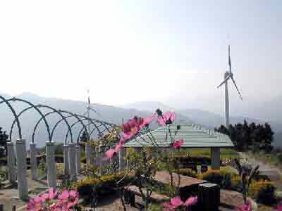 �V��������̒��]